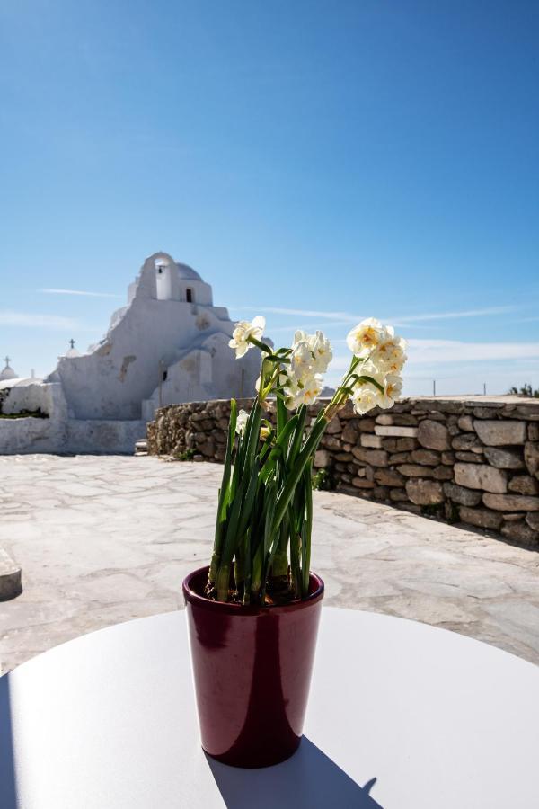 Sunset Paraportiani Rooms Mykonos Town Buitenkant foto